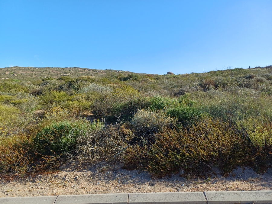 0 Bedroom Property for Sale in St Helena Views Western Cape